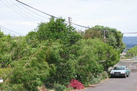 Photo of property in 109 New Windsor Road, New Windsor, Auckland, 0600