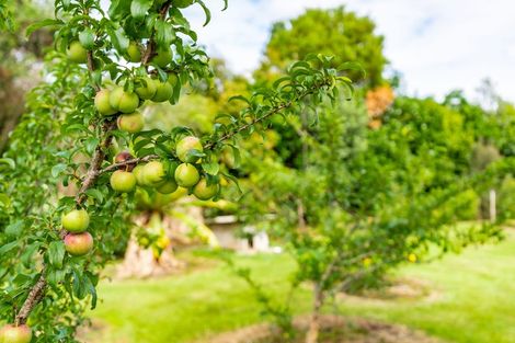 Photo of property in 59b Jack Boyd Drive, Mangawhai Heads, Kaiwaka, 0573