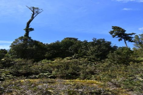 Photo of property in 78b Eco Place, Little Wanganui, Karamea, 7893