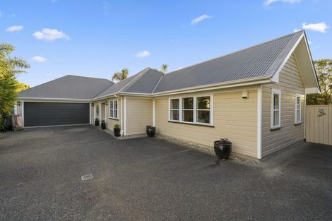 Photo of property in 105 Ferguson Street, West End, Palmerston North, 4412