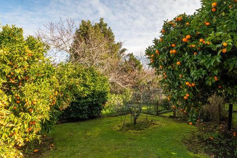 Photo of property in 8 Lewis Street, Paeroa, 3600