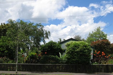 Photo of property in 29 Alford Street, Waterview, Auckland, 1026