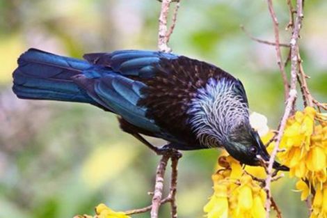 Photo of property in 7 Elmslie Road, Pinehaven, Upper Hutt, 5019