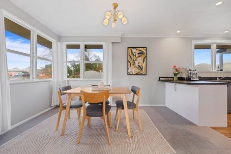 Photo of property in 86 Reservoir Street, Putaruru, 3411