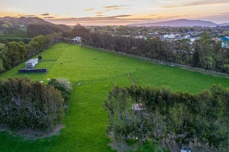 Photo of property in 48 Elizabeth Street, Waikanae, 5036