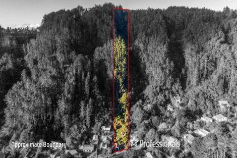 Photo of property in 49 Elmslie Road, Pinehaven, Upper Hutt, 5019