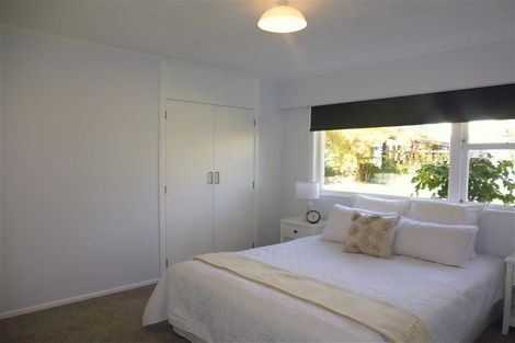 Photo of property in 17 Rakau Street, Havelock North, 4130