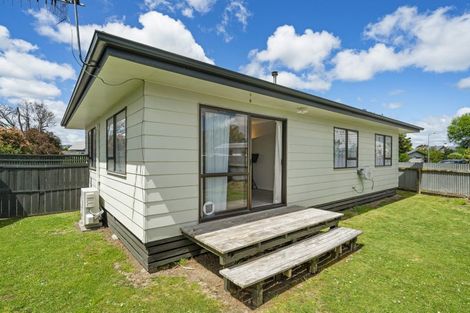 Photo of property in 21 Manson Street, Terrace End, Palmerston North, 4410