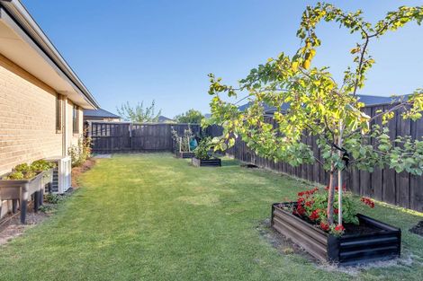 Photo of property in 5 Burke Lane, Amberley, 7410