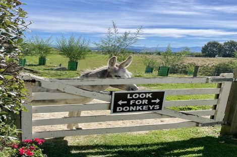 Photo of property in 805 Opihi Road, Totara Valley, Pleasant Point, 7982