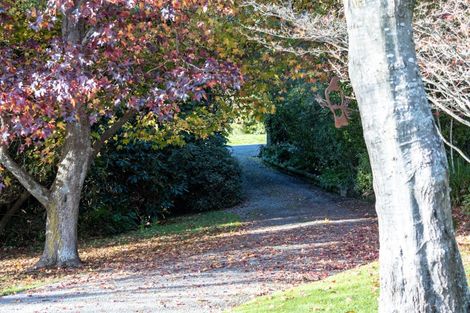 Photo of property in 33 Ribbonwood Road, Geraldine Downs, Geraldine, 7991