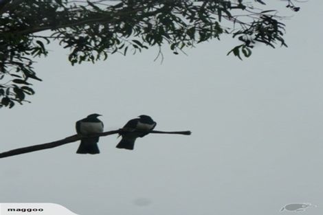 Photo of property in 4 Claremont Road, Gleniti, Timaru, 7910