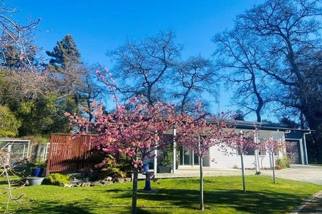 Photo of property in 10a Shelton Place, Marton, 4710