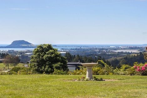 Photo of property in 354a Whakamarama Road, Whakamarama, Tauranga, 3179