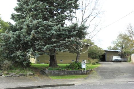 Photo of property in 38 Freyberg Terrace, Waipukurau, 4200