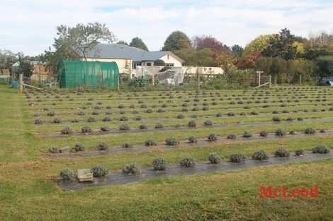 Photo of property in 73 Northpark Road, Newland, Ashburton, 7772