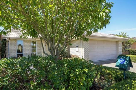 Photo of property in 115 Gladstone Road, Richmond, 7020