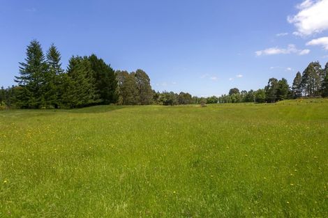 Photo of property in 101 Caroline Drive, Maunganamu, Taupo, 3379