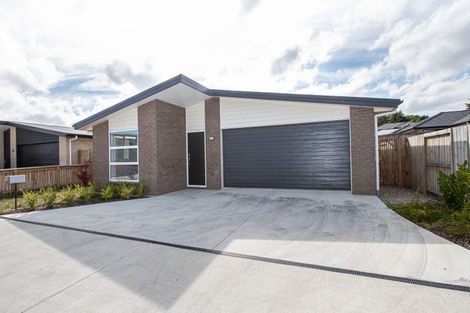 Photo of property in 29 Benjamin Avenue, Rototuna North, Hamilton, 3210