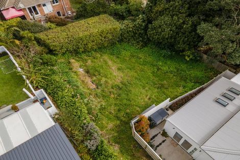 Photo of property in 64 Third Avenue, Kingsland, Auckland, 1021