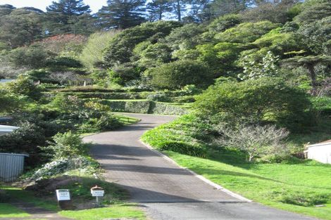 Photo of property in 103 Campbell Street, Thames, 3500