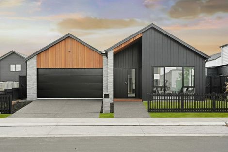 Photo of property in 19 Gaylard Avenue, Chartwell, 3210