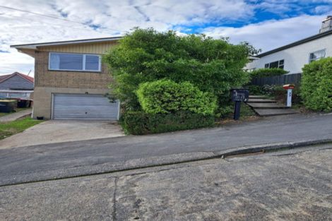 Photo of property in 33 Baldwin Street, North East Valley, Dunedin, 9010
