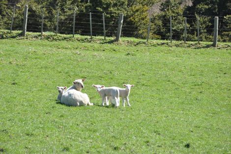 Photo of property in 440 Wharehine Road, Wharehine, Wellsford, 0973