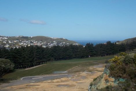 Photo of property in 1/2 Huron Place, Kingston, Wellington, 6021