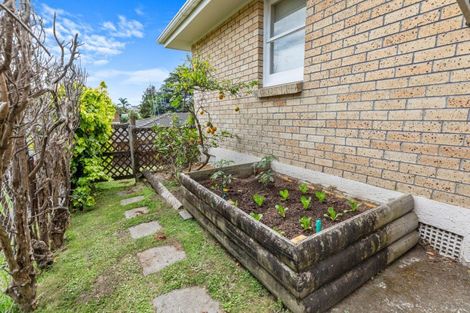 Photo of property in 38 The Drive, Brookfield, Tauranga, 3110