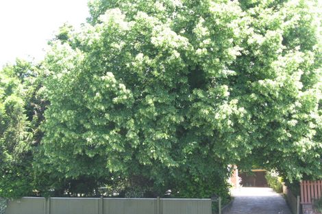 Photo of property in 31 Barrington Street, Somerfield, Christchurch, 8024