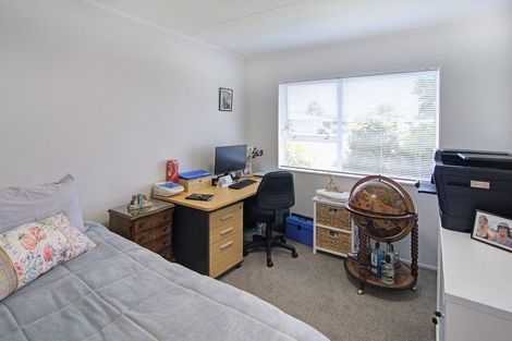 Photo of property in 19 Manchester Street, Solway, Masterton, 5810