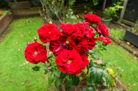 Photo of property in 46a Skerman Street, Marton, 4710