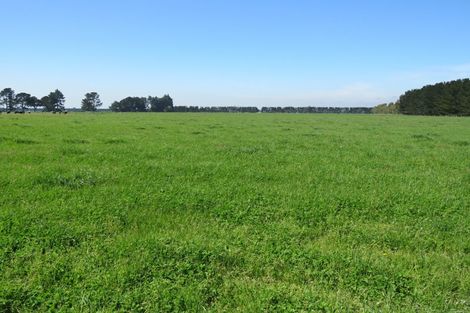 Photo of property in 657 Maronan Road, Winslow, Ashburton, 7778