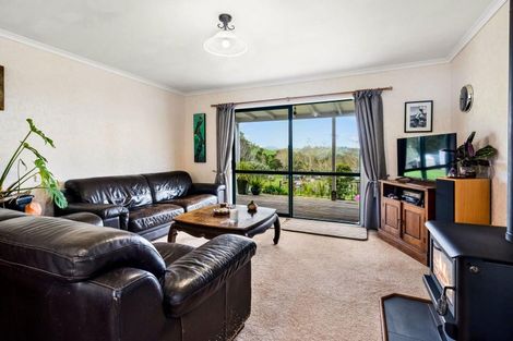 Photo of property in 105 Gorge Road, Maungaturoto, 0520