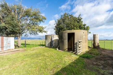 Photo of property in 141 Whitaunui Road, Opiki, Palmerston North, 4474