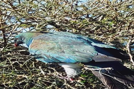 Photo of property in 8 Munro Place, Carters Beach, Westport, 7825