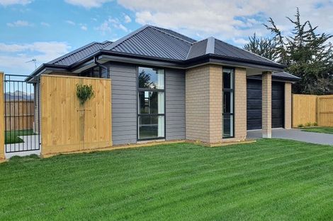 Photo of property in 19 Petunia Drive, Wigram, Christchurch, 8025