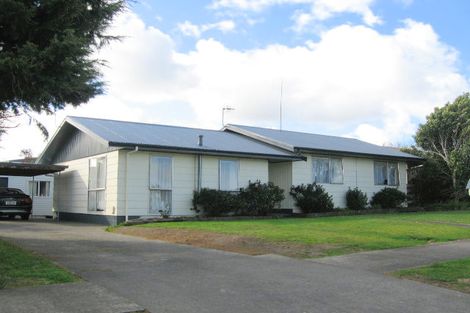 Photo of property in 19 Tingey Avenue, Feilding, 4702