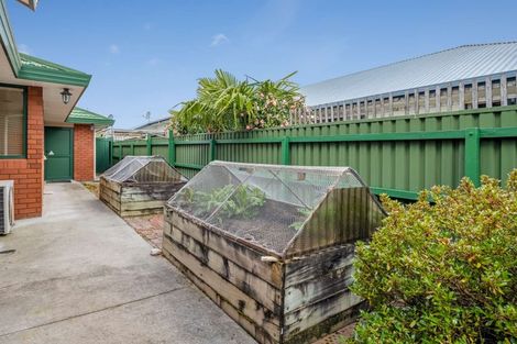 Photo of property in 1a Carr Street, Blenheim, 7201