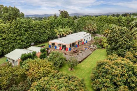 Photo of property in 81 Wharawhara Road, Tahawai, Katikati, 3178