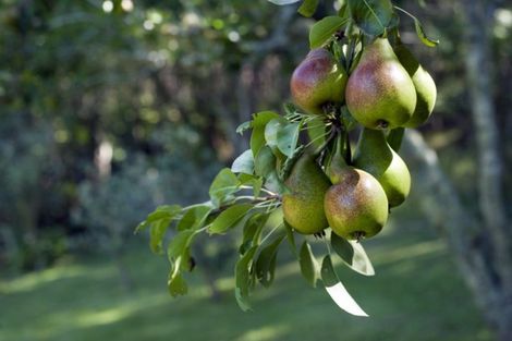 Photo of property in 45 Aucks Road, Russell, 0272