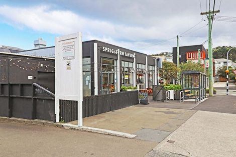 Photo of property in 28 Luxford Street, Berhampore, Wellington, 6023