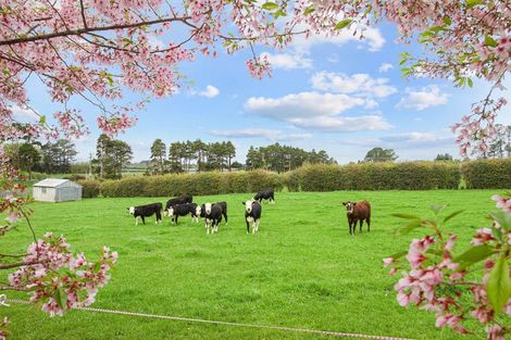 Photo of property in 137 Hart Road, Pukekohe, 2676