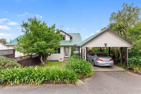 Photo of property in 118 Forest Lake Road, Forest Lake, Hamilton, 3200