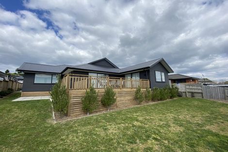 Photo of property in 8 Pinkerton Place, Ohauiti, Tauranga, 3112