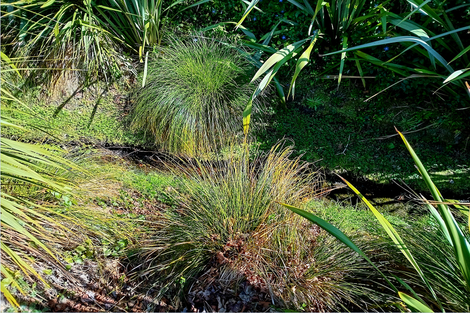 Photo of property in 7 Styxspring Lane, Harewood, Christchurch, 8051