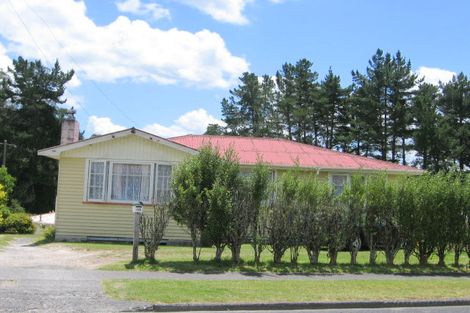 Photo of property in 45 Roslyn Street, Taumarunui, 3920