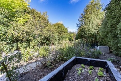 Photo of property in 11 John Leith Place, Leithfield, Amberley, 7481