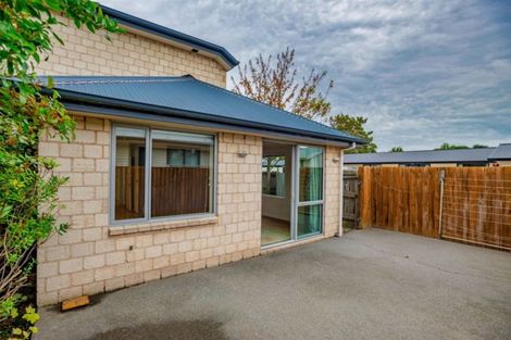 Photo of property in 48a Barbour Street, Waltham, Christchurch, 8011